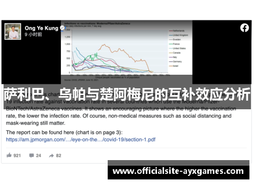 萨利巴、乌帕与楚阿梅尼的互补效应分析 萨利巴、乌帕与楚阿梅尼的互补效应分析