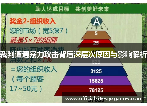 裁判遭遇暴力攻击背后深层次原因与影响解析
